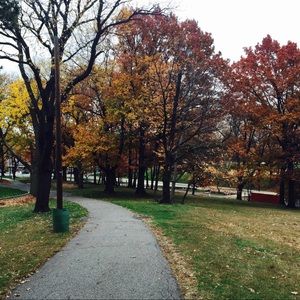 Meet your Posher, Gabriel